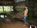 0126-1408 Reptile park (1264733)